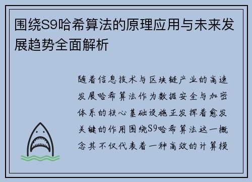 围绕S9哈希算法的原理应用与未来发展趋势全面解析
