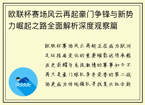 欧联杯赛场风云再起豪门争锋与新势力崛起之路全面解析深度观察篇